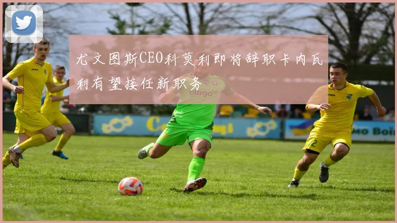 尤文图斯CEO科莫利即将辞职卡内瓦利有望接任新职务